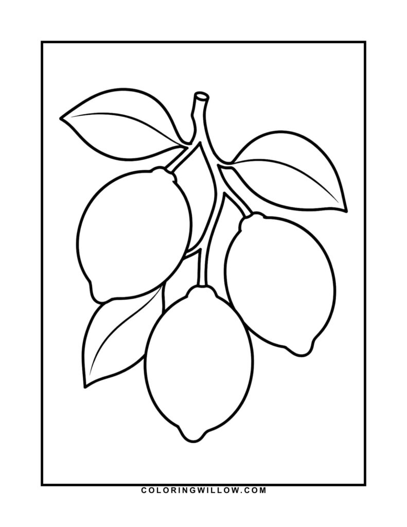 Black-and-white coloring page of three lemons growing on a leafy branch.