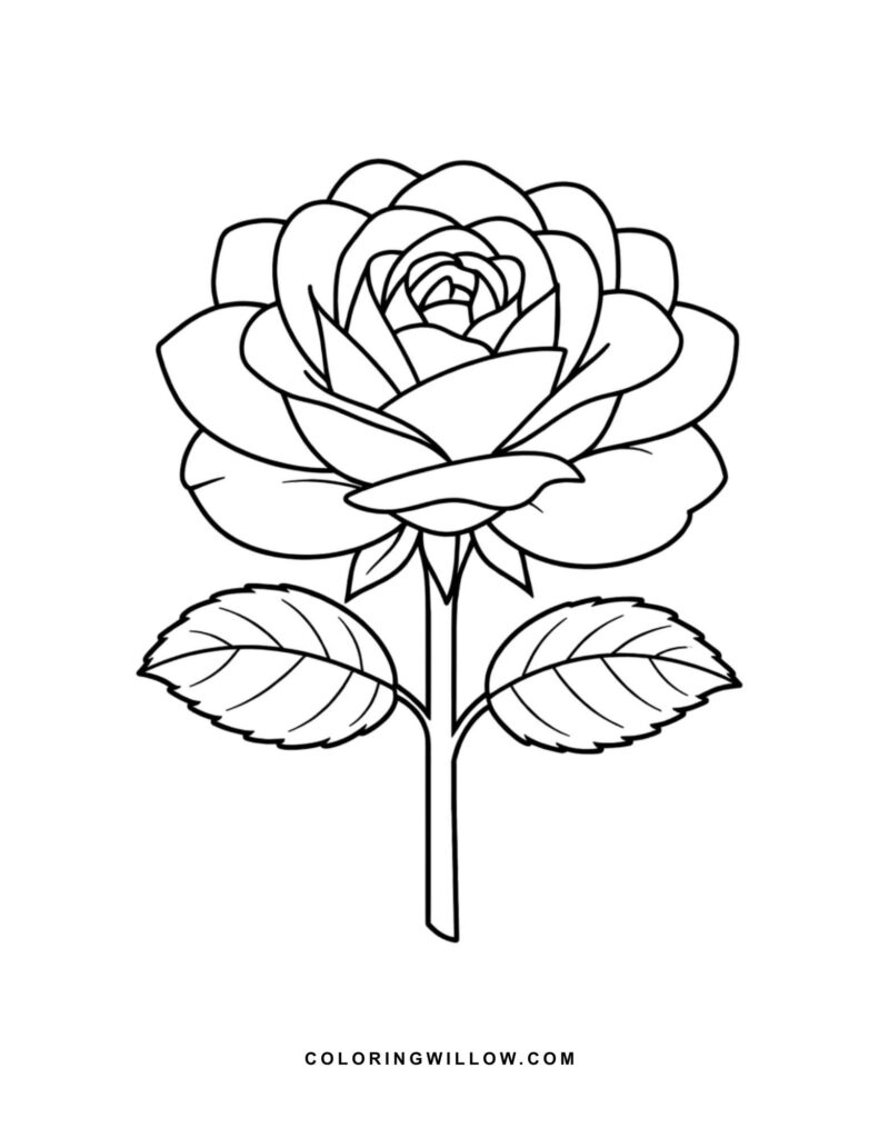 Black-and-white coloring page of a single garden rose in full bloom with two leaves.
