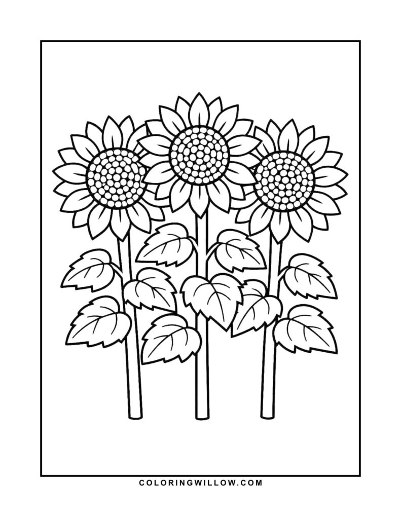 Black-and-white coloring page of three tall sunflowers growing in a simple row.