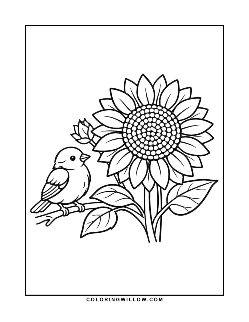 Black-and-white coloring page of a songbird perched beside a large sunflower.